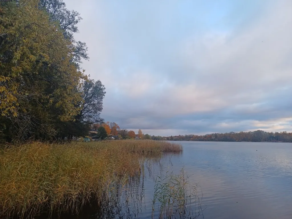 Сауналахти - мини-домик на берегу Банного залива