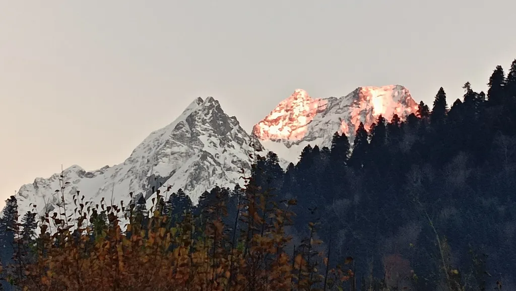 Уютный номер-студия