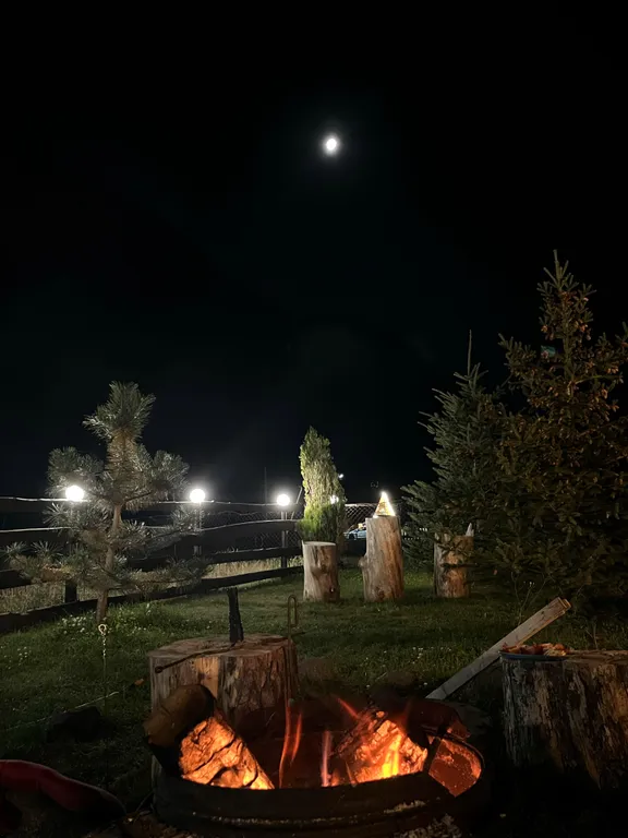 Уютный домик под лесом