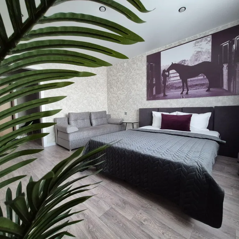 Квартира Сабрина в мкр.Царский — аренда посуточно в Чита