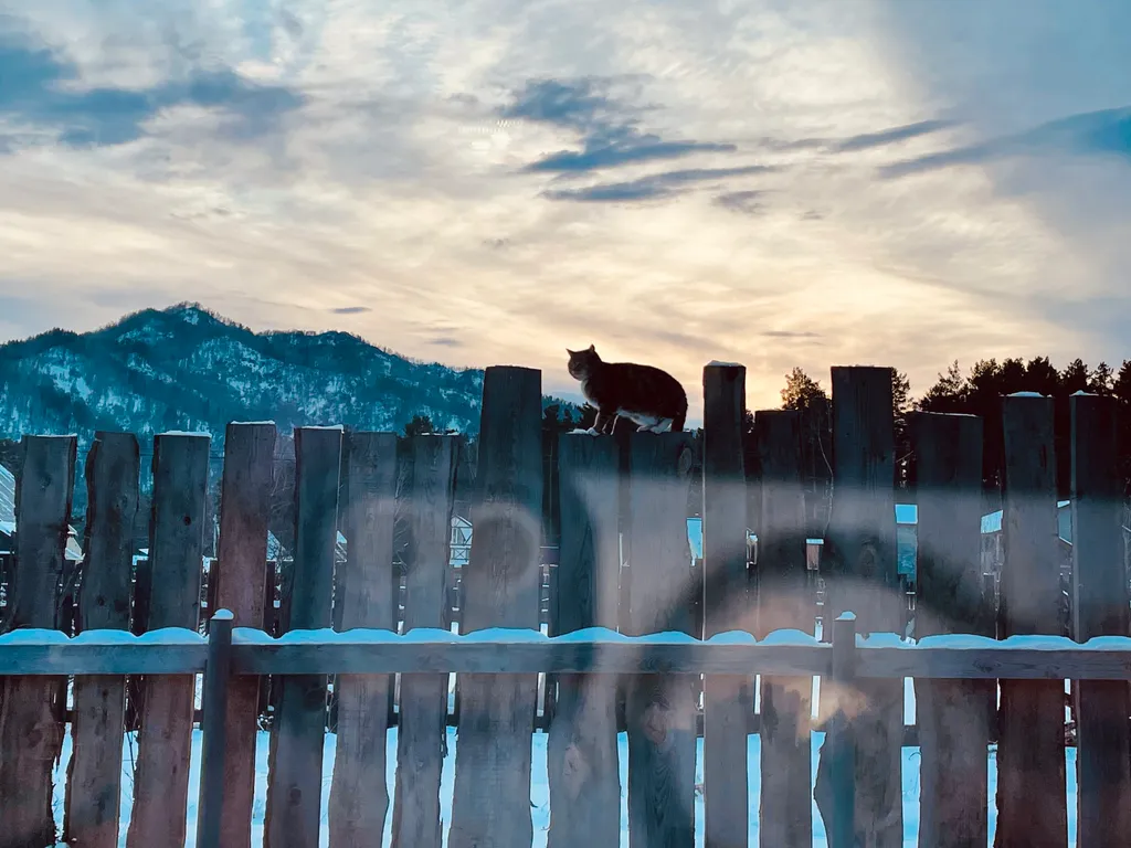 Самый уютный дoмик с кoшкой напротив горнолыжного куpоpта Мaнжеpoк