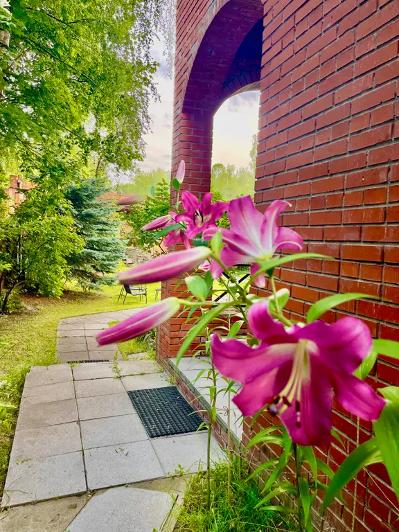 Номер с интернетом и рабочим столом