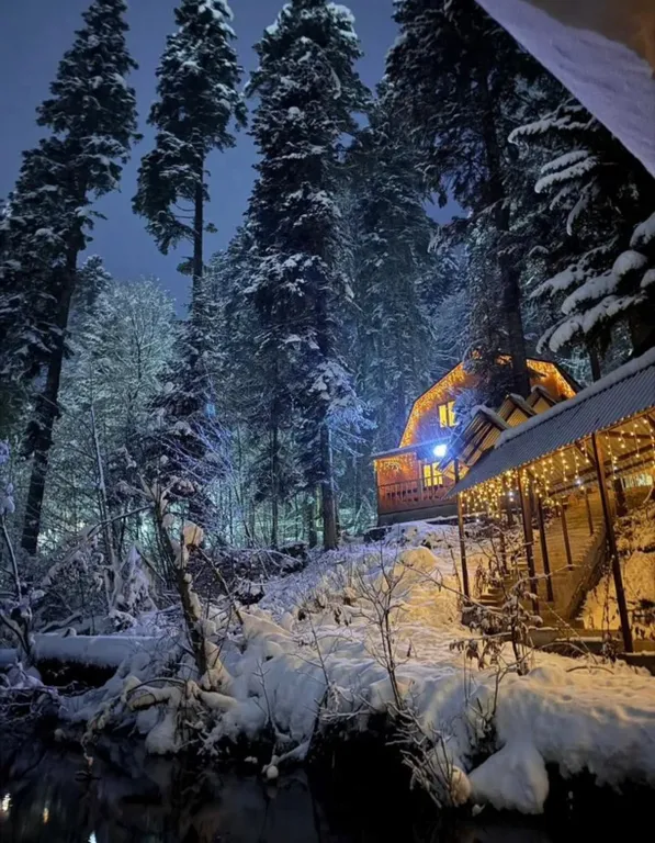 Коттедж Уютный домик в лесу — аренда посуточно в Домбай