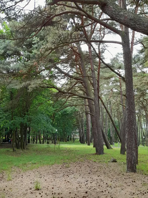 Квартира Уютная квартира в курортном городе — Пионерский