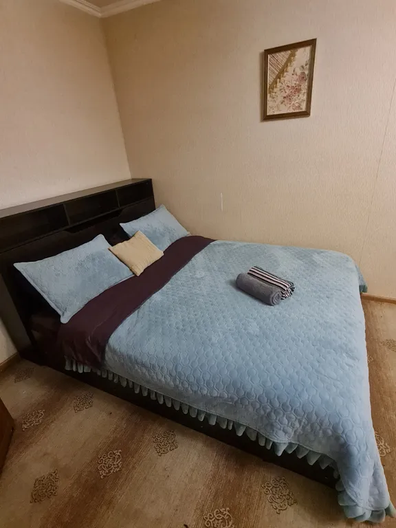 Уютная квартира в центре — аренда посуточно в Чехов