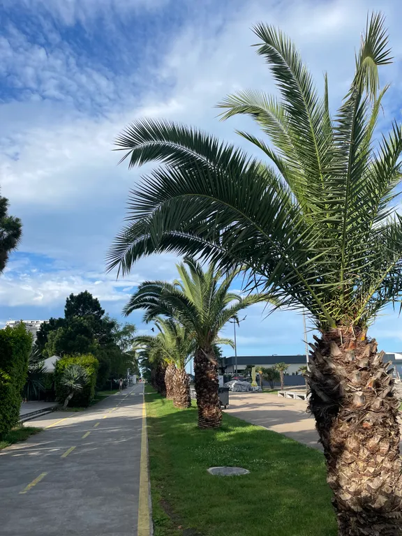 Апартаменты с видом на море