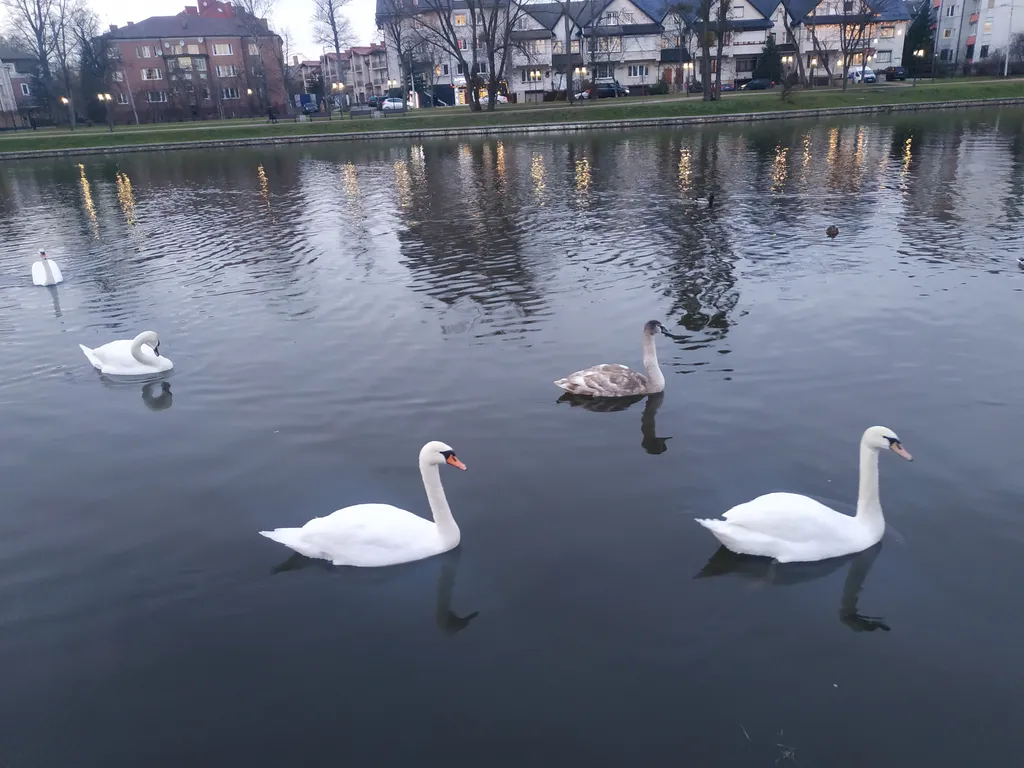 Квартира Квартира У мамы Вари — Калининград