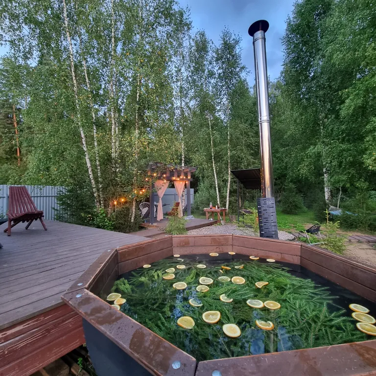 Дом с баней и чаном у леса