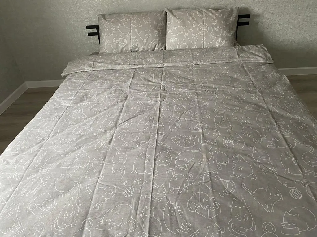 Коттедж Уютный новый дом в центре города — Элиста