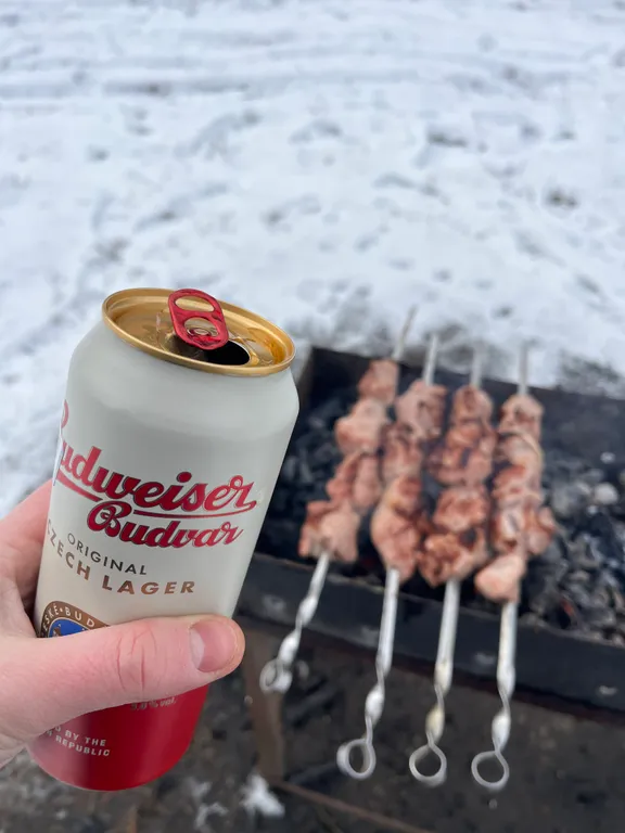 Шале Лесное в Беловежской пуще с электробатареями и выходом в лес