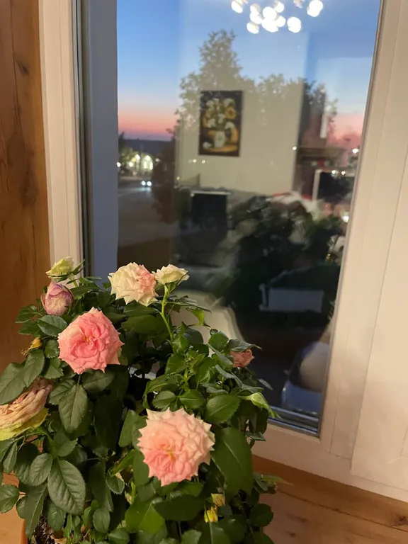 Апартаменты в исторической части города с видом на центр