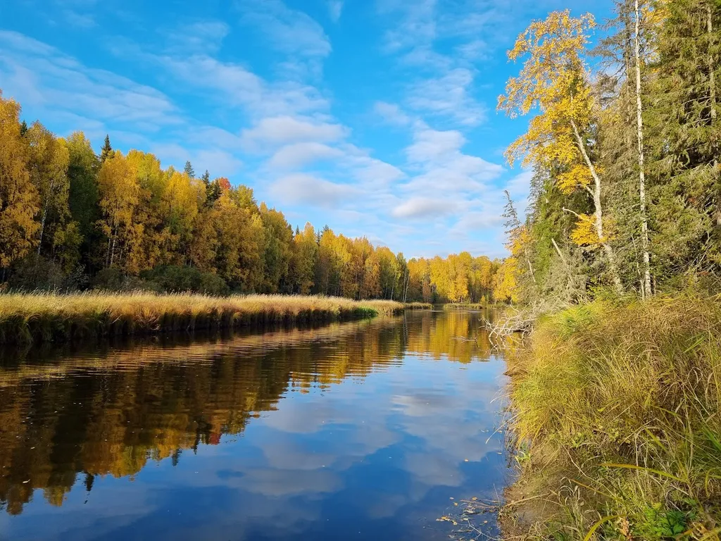 Комфортный, уютный дом у реки для семейного отдыха
