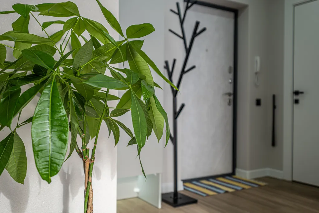 Не просто квартира, а стиль и качество