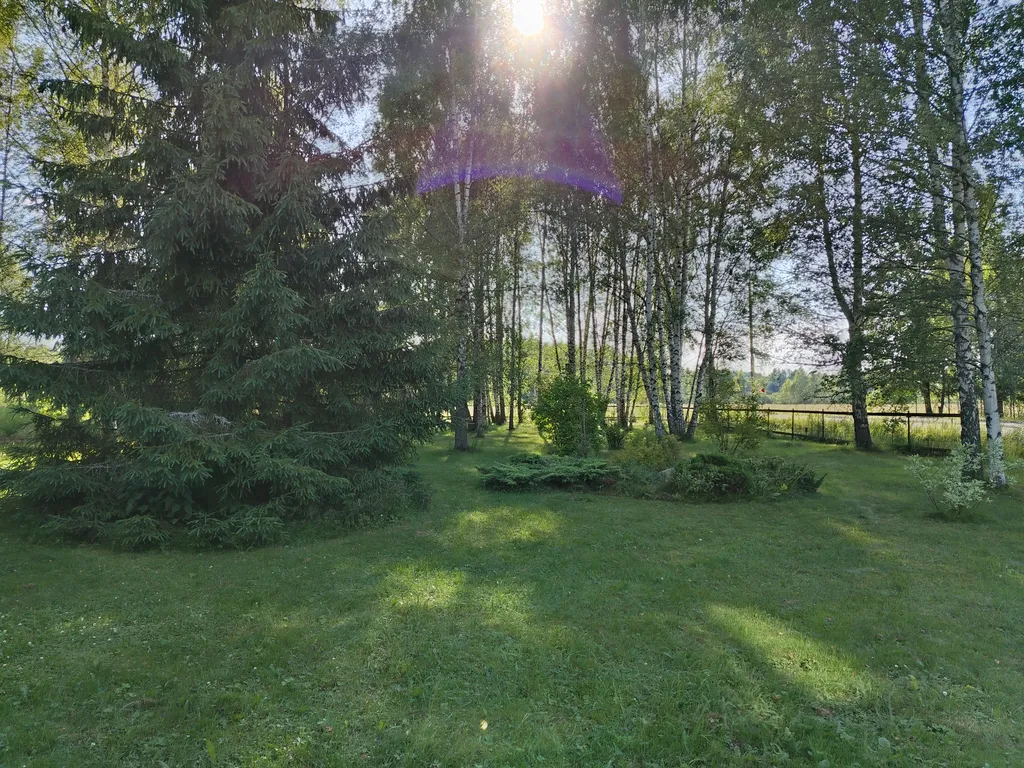 Дом на большом лесном участке