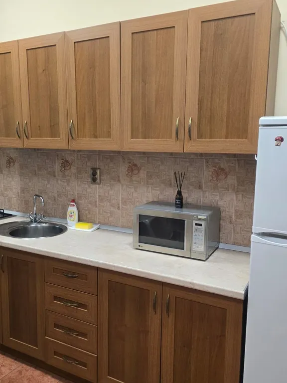 Квартира Уютная квартира в центре — Владикавказ