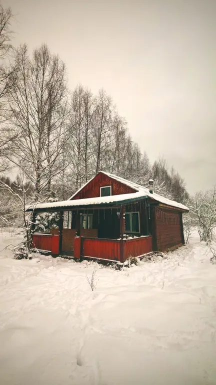 Коттедж Лесной домик — Осурово