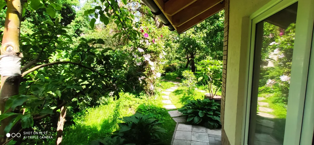 Светлая и просторная студия в чудесном саду для отдыха под шум моря