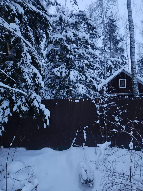Уютный бревенчатый дом и баня, на одном участке