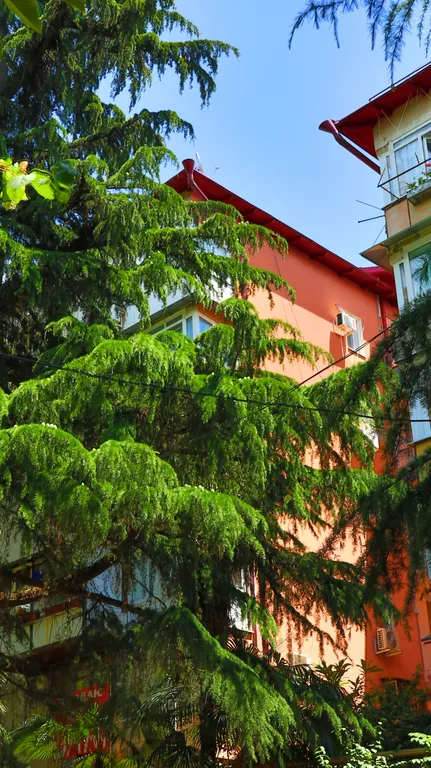 Квартира Квартира с видом на море — Сочи