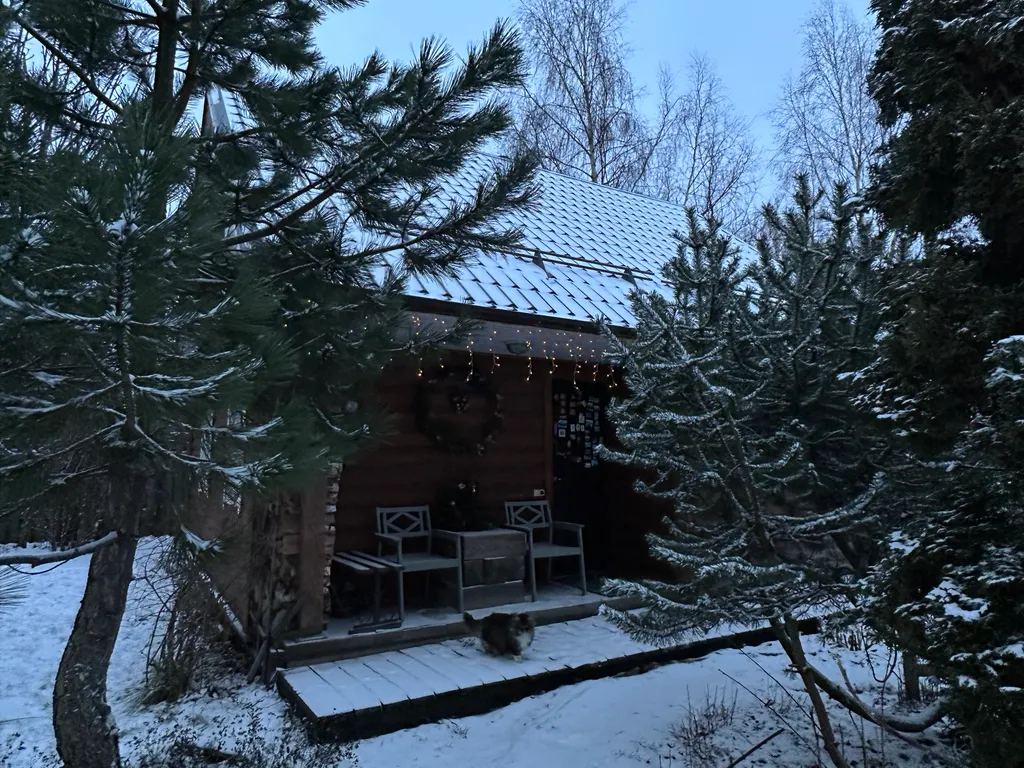 Домик художника