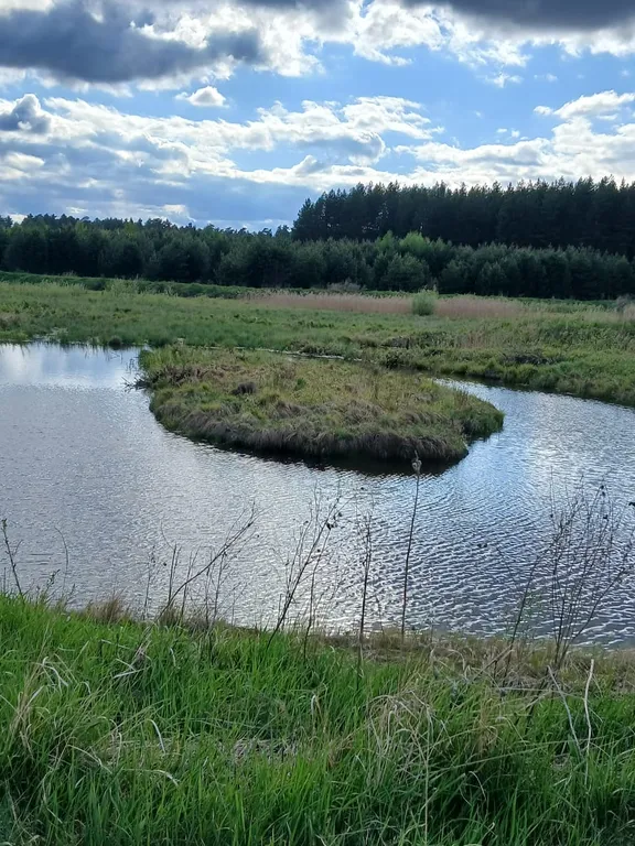 Уютный дом для отдыха со всеми удобствами
