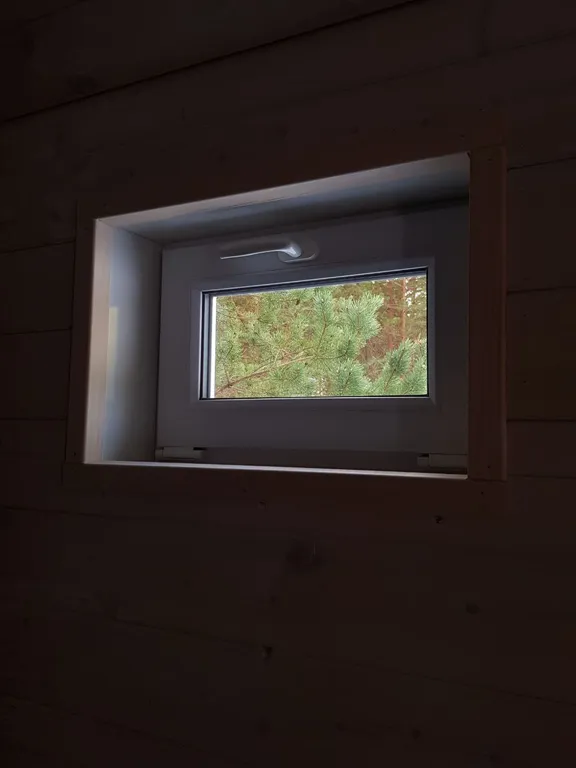 Дом в сосновом лесу