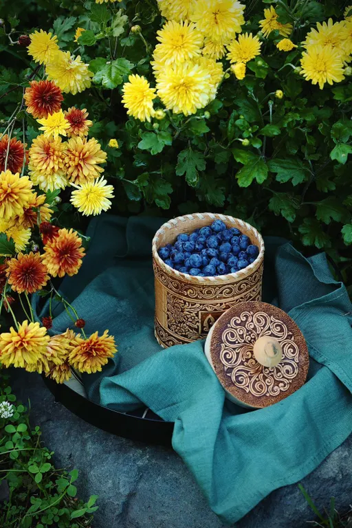 Дом под солнцем