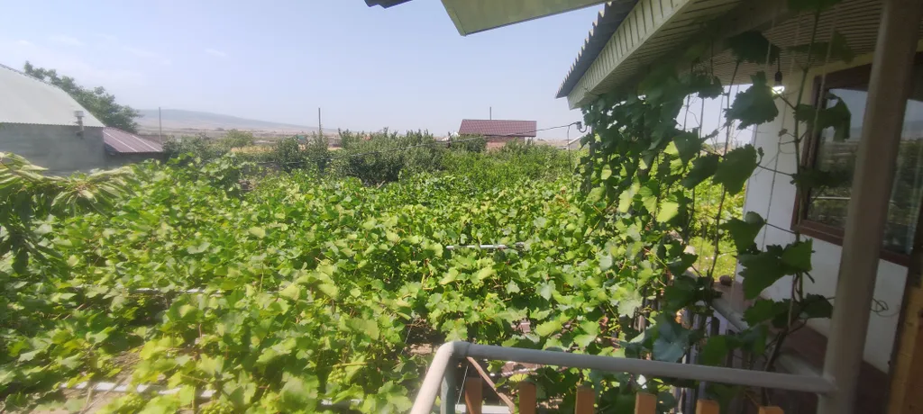 Уютная дача с видом на речку и фруктовый сад