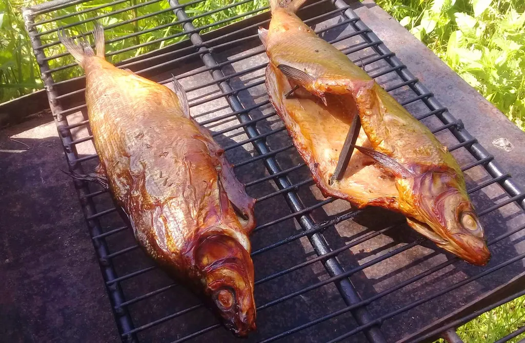 Домик у реки с отличным видом на 2 шлюз Волго Балтийского канала и лес