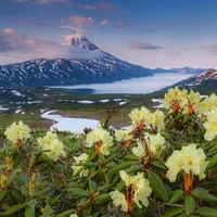 Анастасия