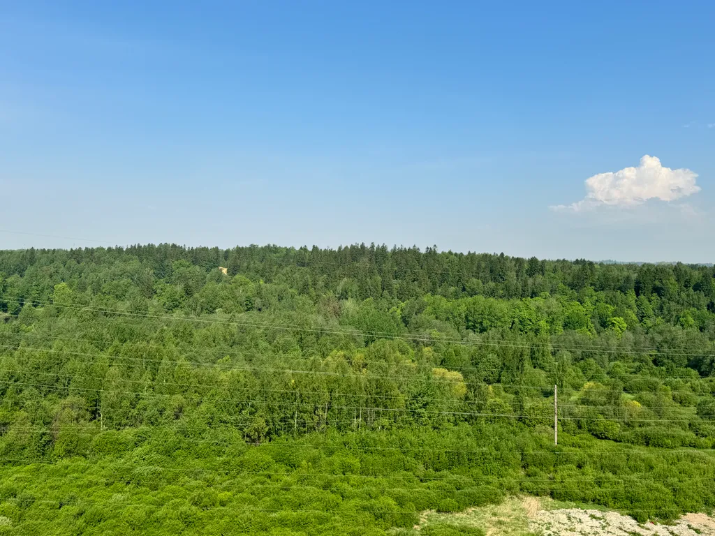 Апартаменты с видом на парк