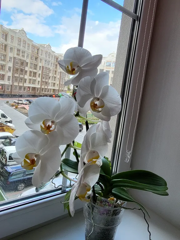 Море у дома, первая линия, двухкомнатная резиденция у моря