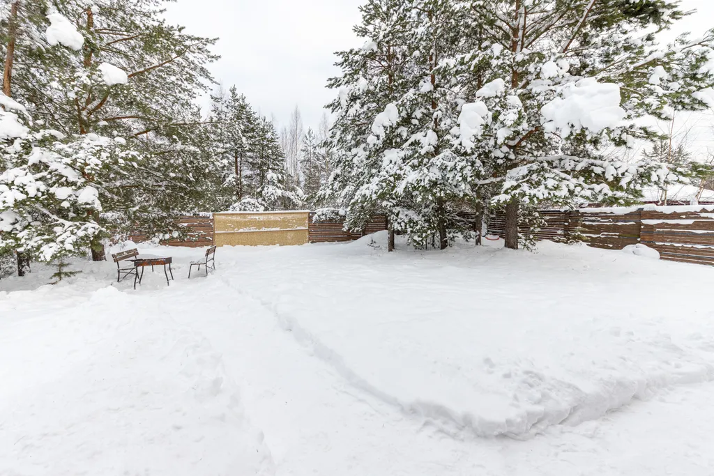 Уютный барнхаус с видом на лес
