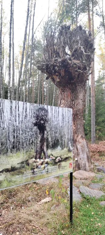 Уютный дом в сердце курорта Коприно