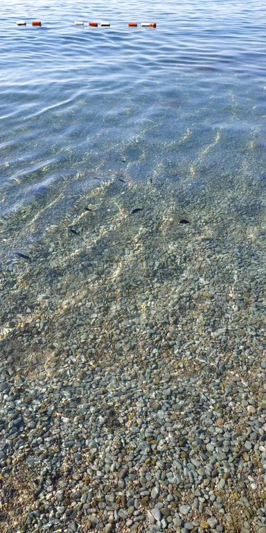 Апартаменты с видом на море и горы