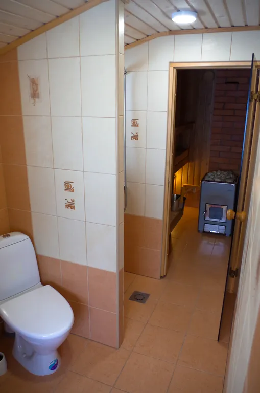 Домик с сауной и мангалом