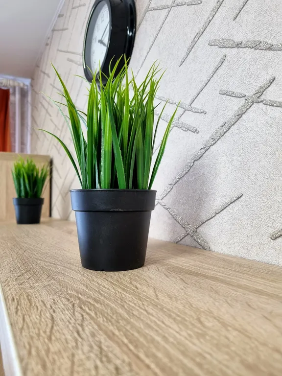 Уютный апартамент в расширенном центре