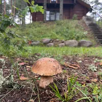 Домик на горе