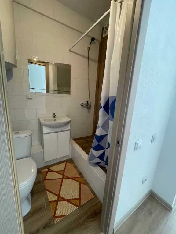 Студия в сосновом лесу