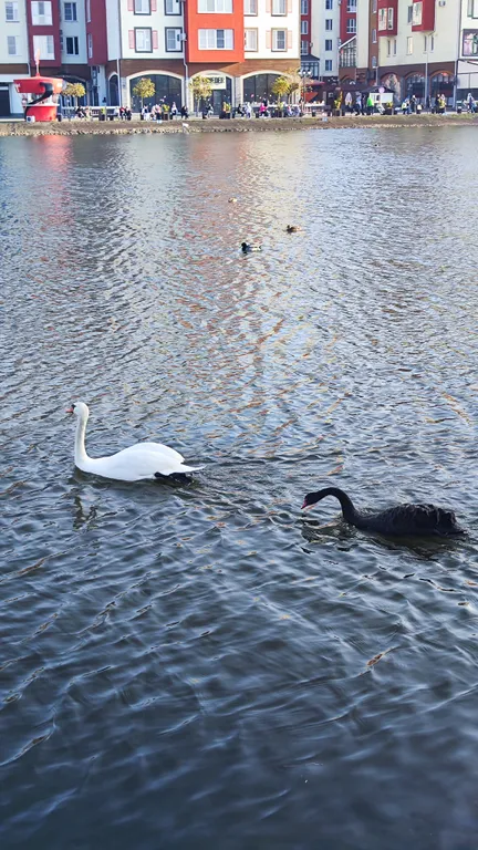 Студия в новостройке с новым ремонтом