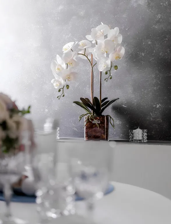 Апартаменты с джакузи в самом центре