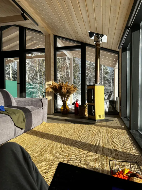 Дача в лесу с панорамными окнами