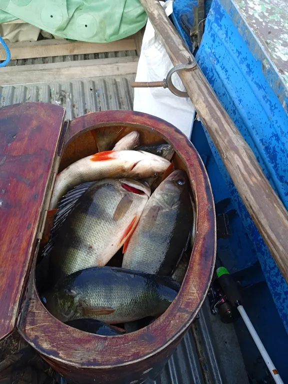 Коттедж Уютный деревенский дом рядом с Онежским озером — Великая Губа