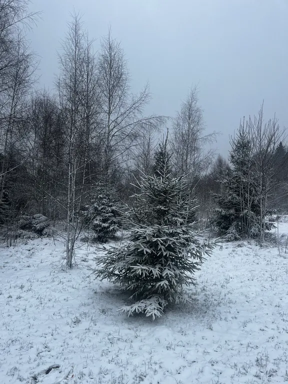 Дом Огонёк для 4 гостей с видом на лес
