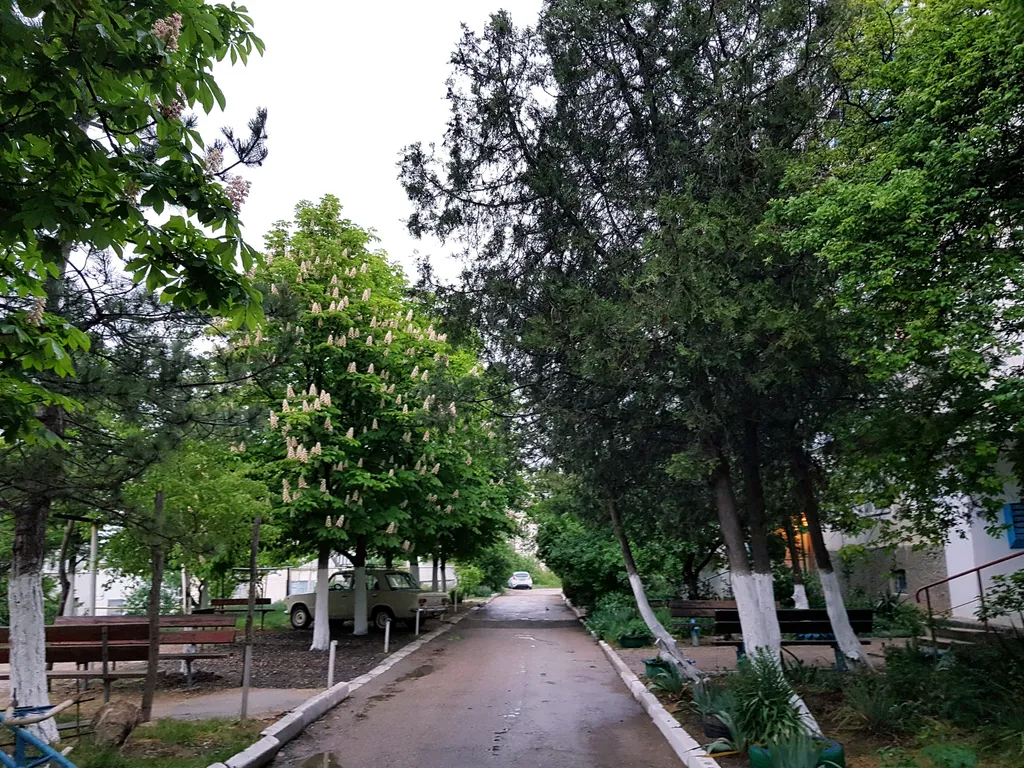 Квартира Квартира Уютная Как Дома в 5 минут до пляжа — Любимовка