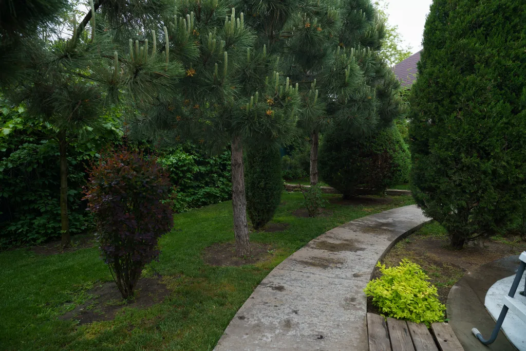 Загородный дом-шале "Pinebrook", аренда, у реки Дон. Сезонный бассейн.