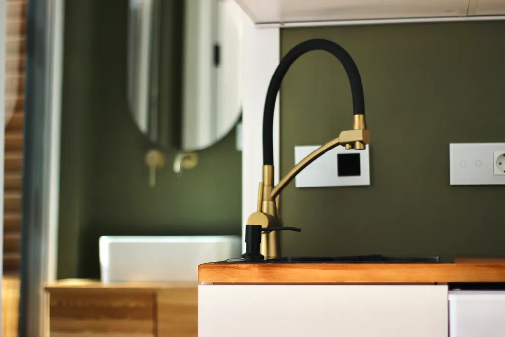 Дом-студия с купелью и домашним кинотеатром