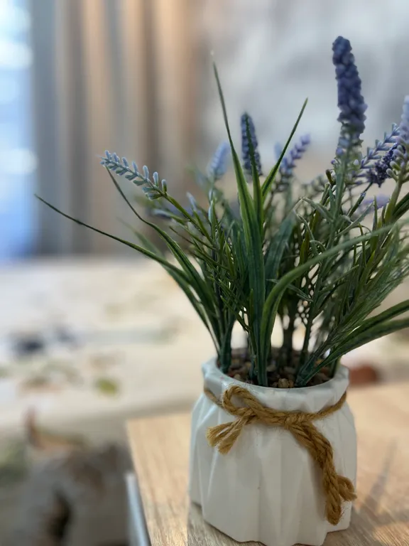 Уютная студия возле моря