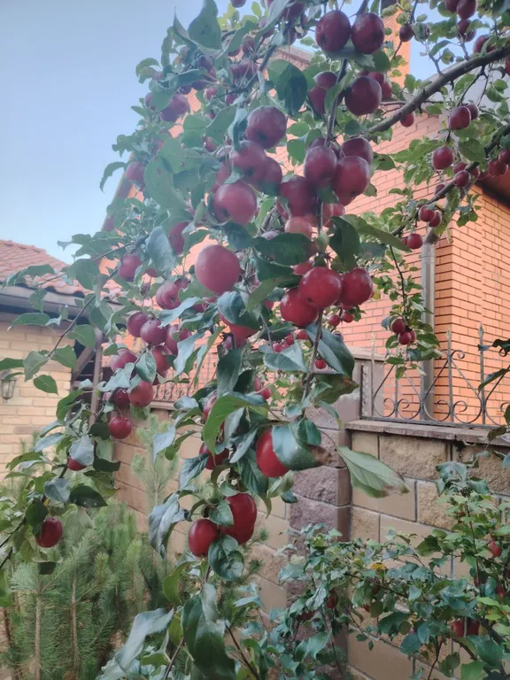 Загородный дом у озера в Подмосковье