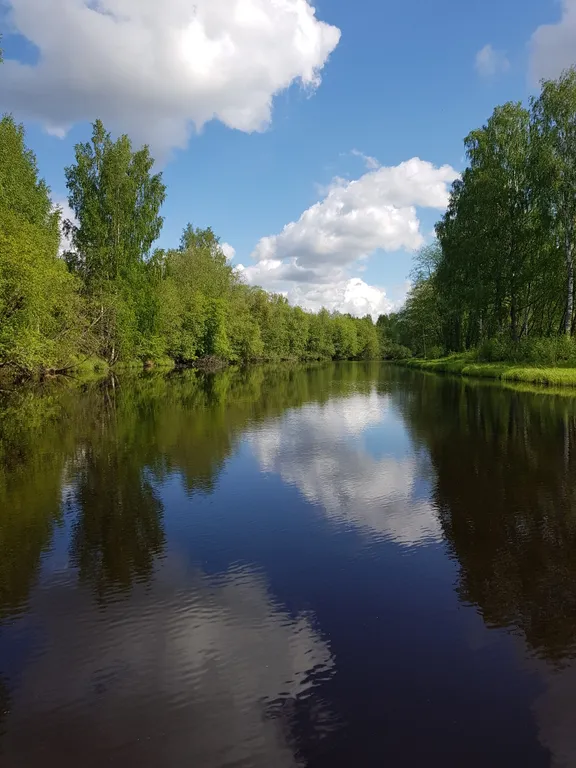 Коттедж Уютный домик на берегу реки — Лодейное Поле